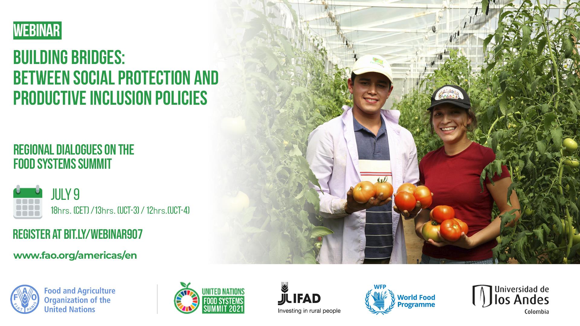 Building Bridges between Social Protection and Productive Inclusion Policies