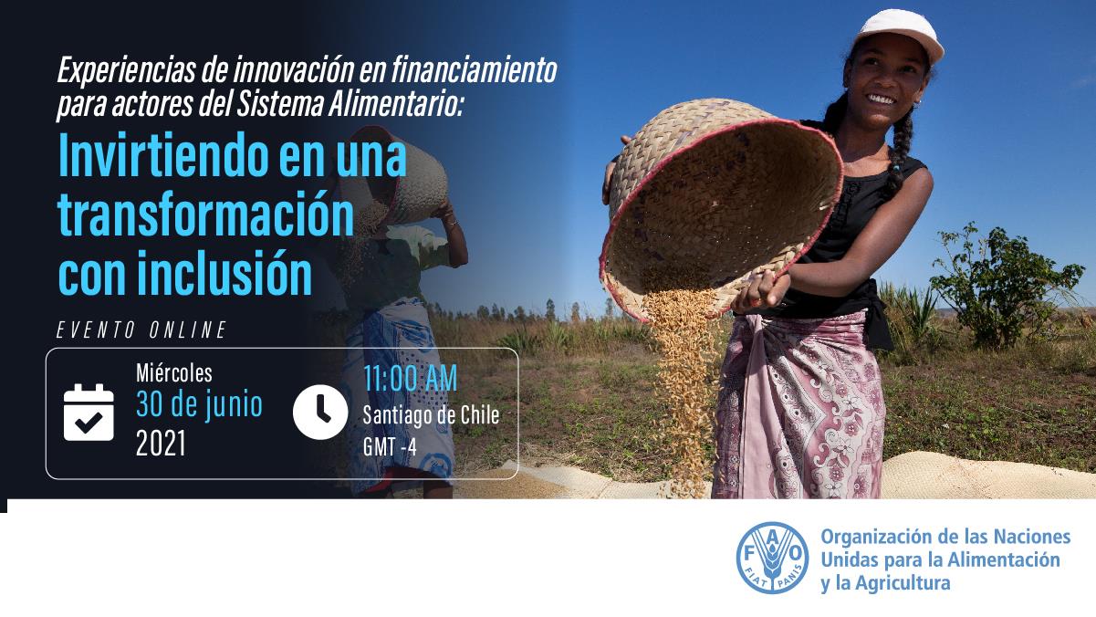 Experiences of innovation in financing for actors of the Agrifood System
