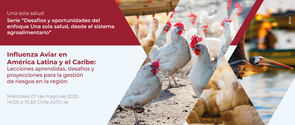 Serie: Desafíos y oportunidades del enfoque Una sola salud, desde el sistema agroalimentario