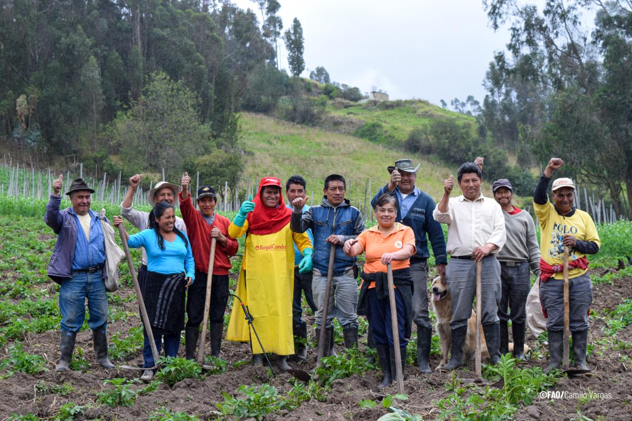 FAO launches a call to propose Sessions for the Exchange of Experiences and Knowledge on Family Farming within the framework of the Regional Technical Platform on Family Farming