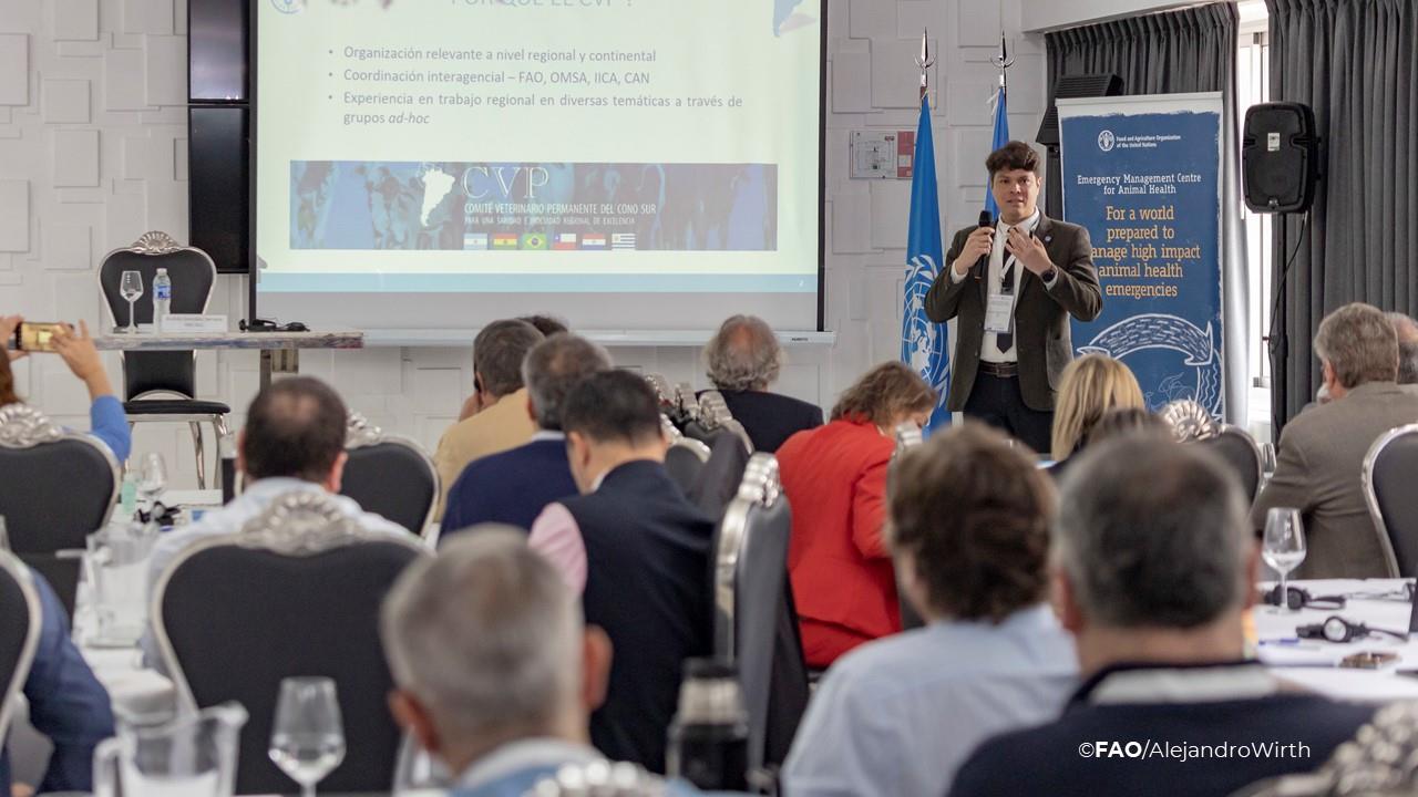 Diseases without borders: FAO and the CVP trained more than 40 veterinarians from the Southern Cone in animal health emergencies