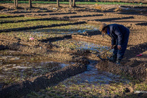llamado a hacer uso sostenible del agua