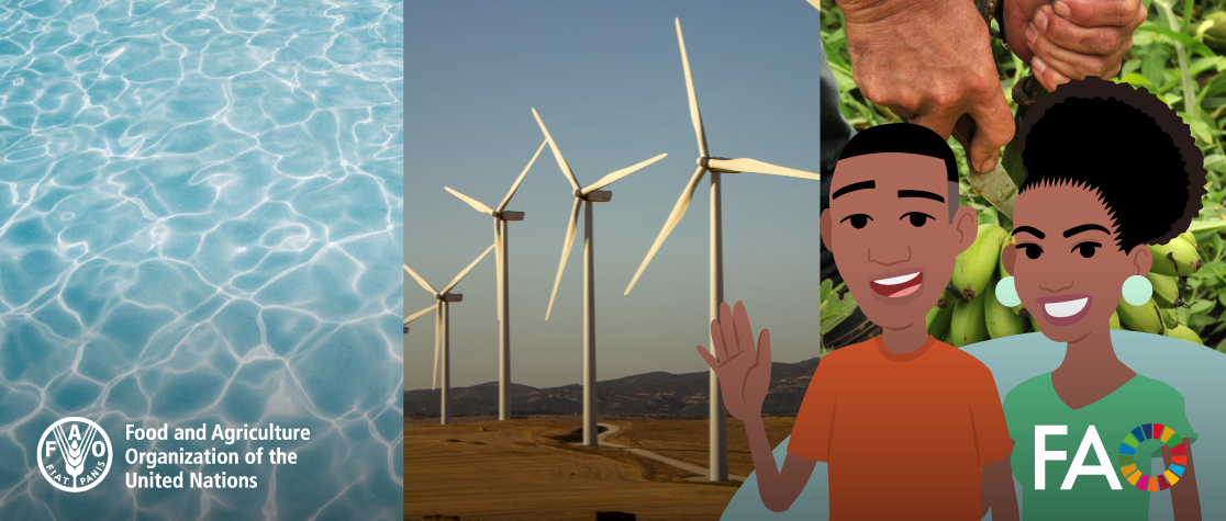 New Water Energy Food Nexus E-Course for Caribbean Resilience