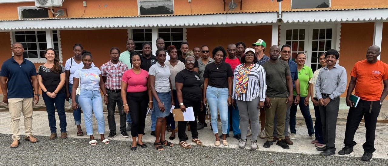 FAO workshop aimed to enhance Grenada's production of premium, high-quality cocoa