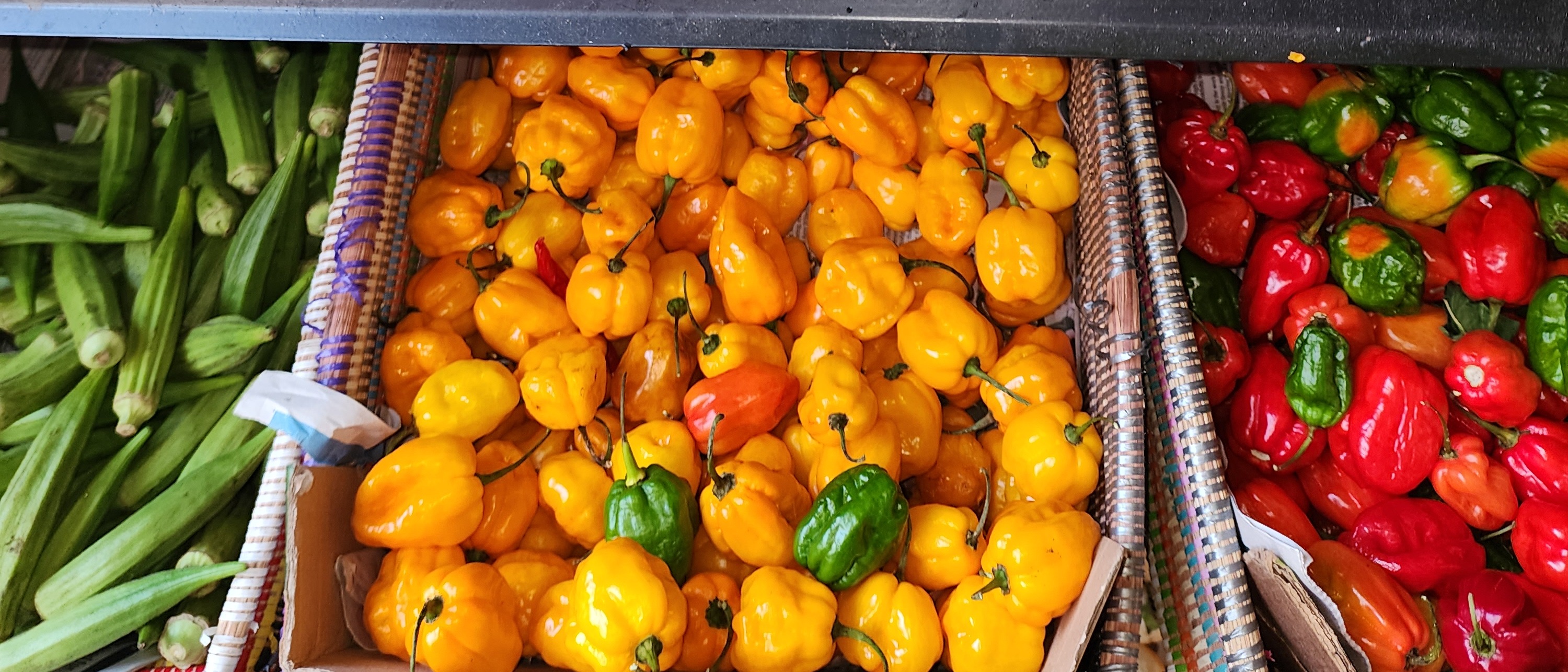 Revamping hot pepper production in St Vincent and the Grenadines