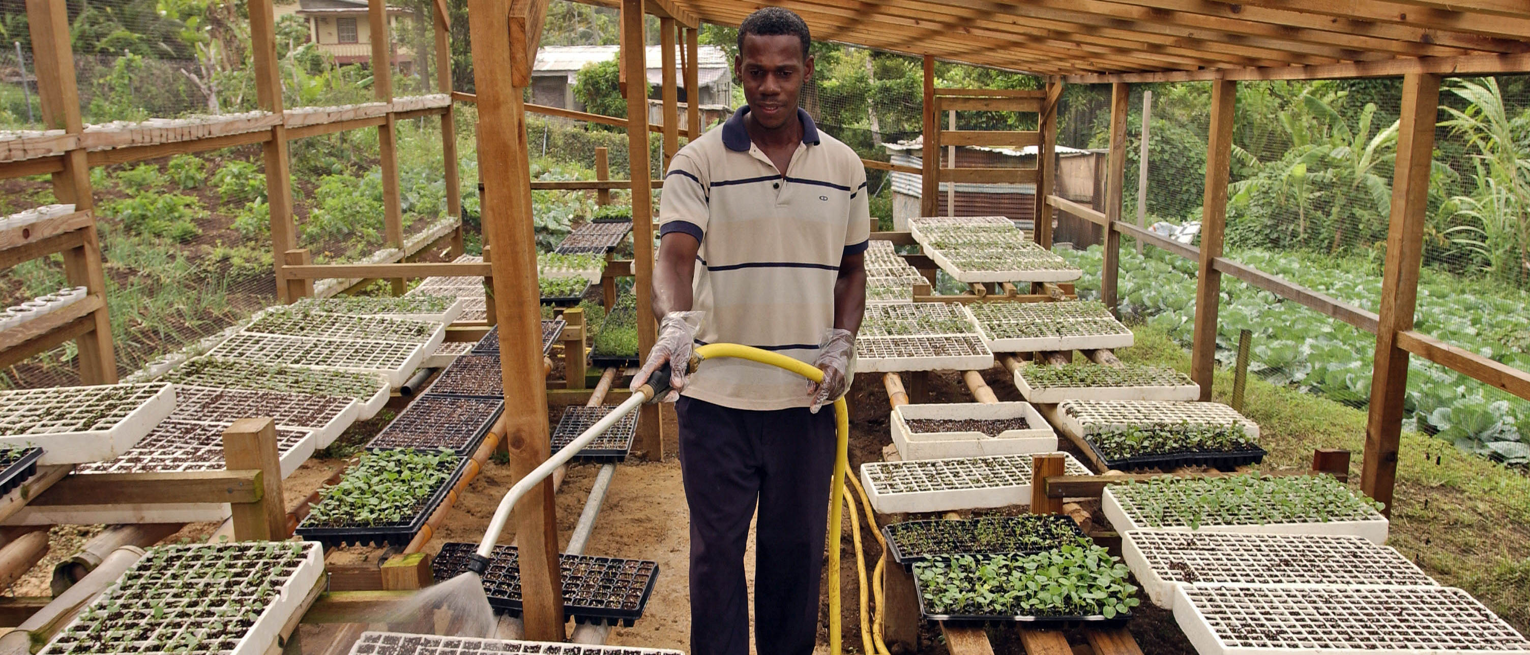 FAO and Canada launch CA$10 million regional project