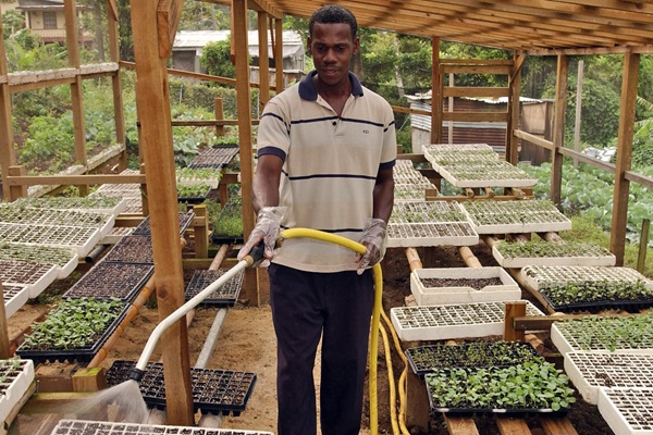 innovation caribbean
