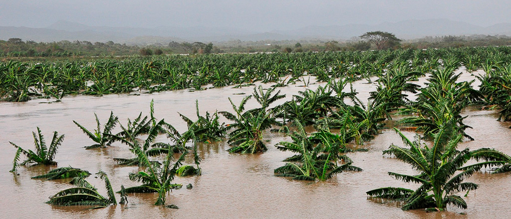 Anticipating the La Niña Phenomenon: The Importance of Understanding and Mitigating Its Impacts