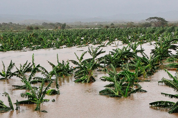 flood