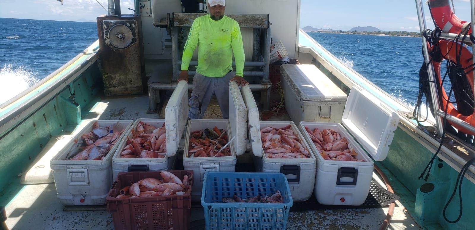 Setting a strategic direction for the effective fight against Illegal, unreported and unregulated fishing