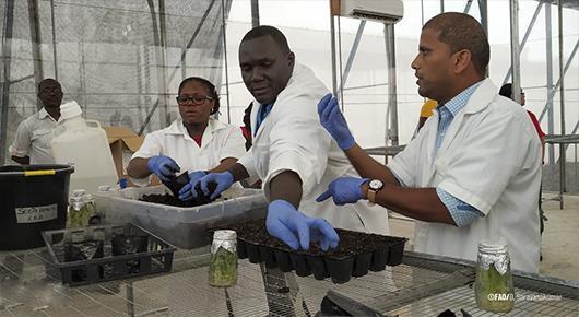 Harnessing new technologies to rebuild an industry