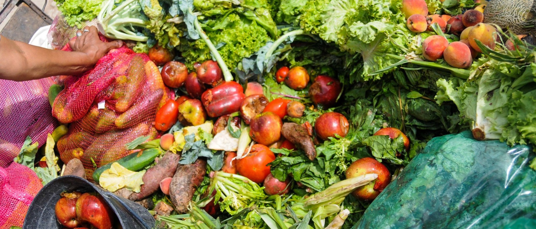 Leave No “Foodprint”: Technological Innovations to Prevent and Reduce Food Losses and Waste