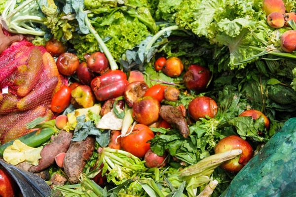 Leave No “Foodprint”: Technological Innovations to Prevent and Reduce Food Losses and Waste