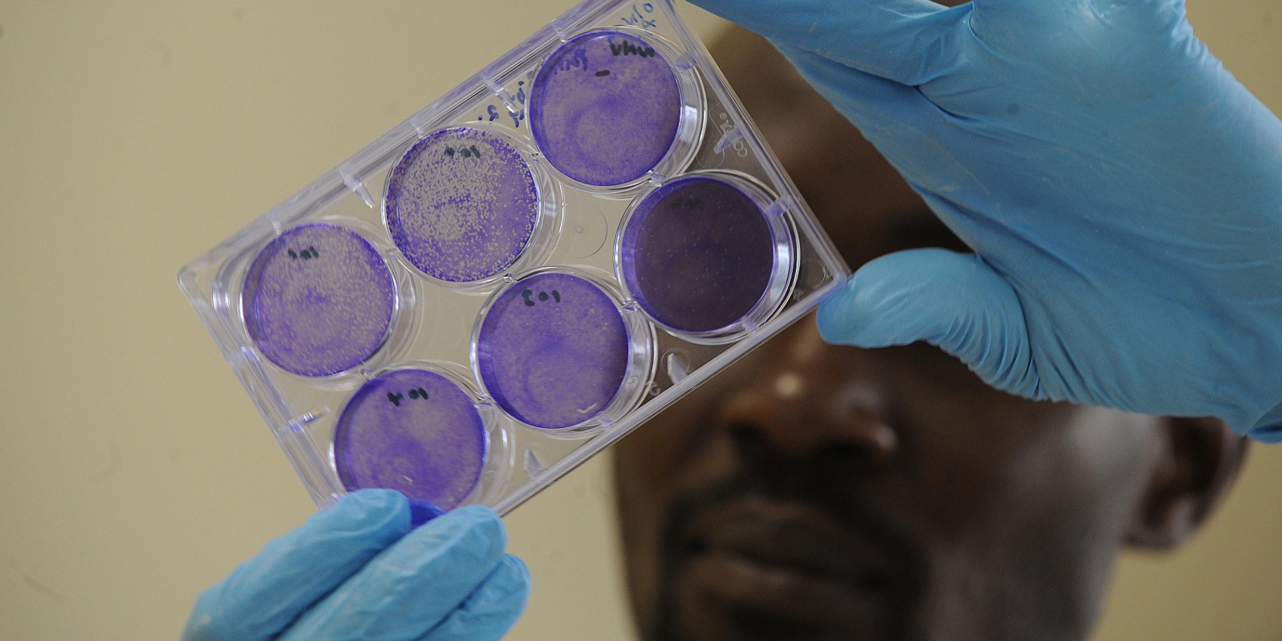 World Zoonoses Day: the importance of animal health and welfare