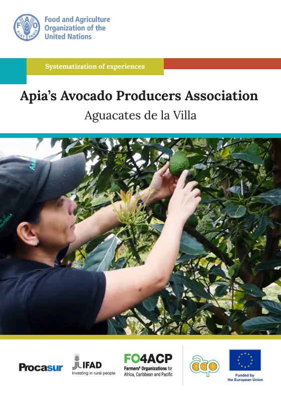 APIA'S AVocado