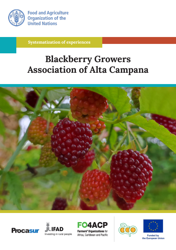 blackberry growers