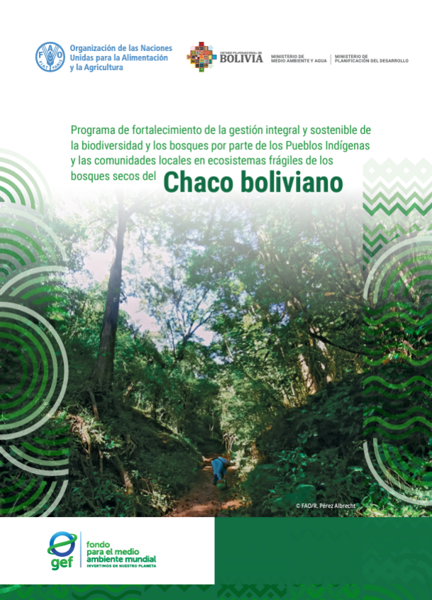 chaco boliviano
