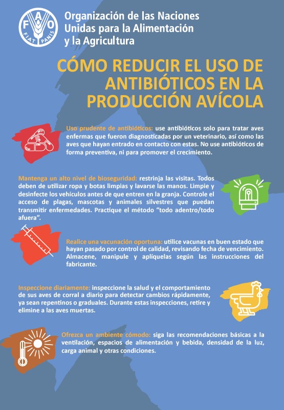 como reducir el uso de antibióticos