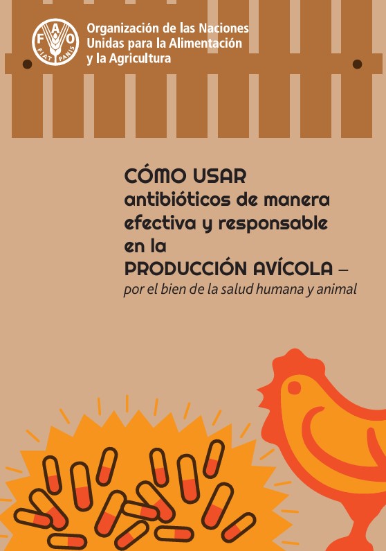 como usar antibioticos de manera efectiva y responsable