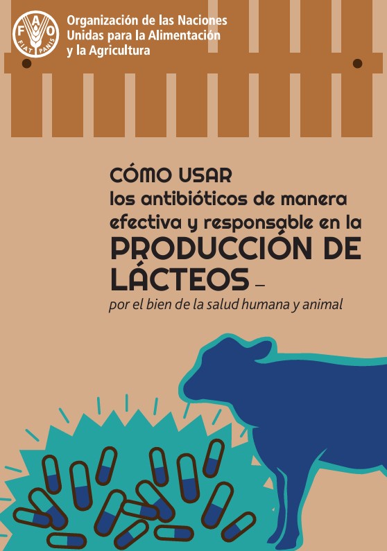 como usar los antibióticos