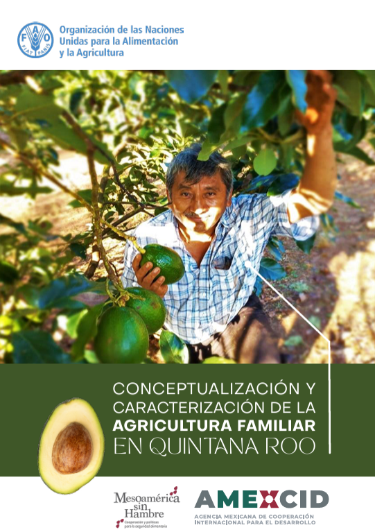 conceptualización
