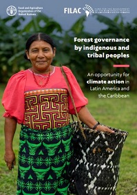 Forest governance