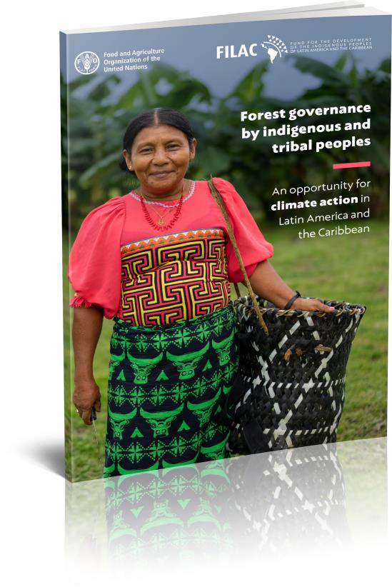 Forest governance