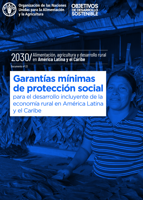 Garantías mínimas de protección social para el desarollo incluyente de la economía rural
