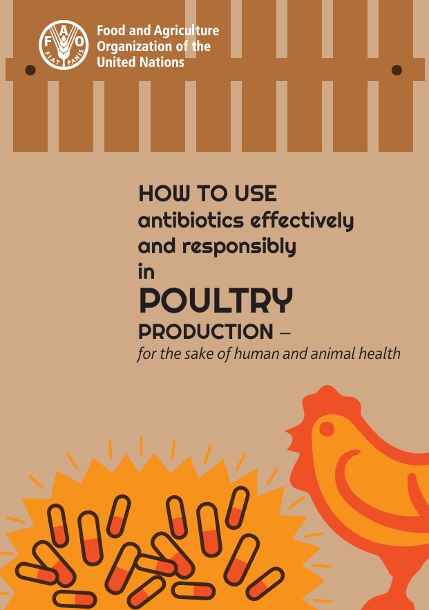 How to use Antibiotics
