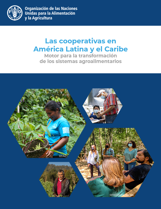 Las cooperativas en América Latina y el Caribe