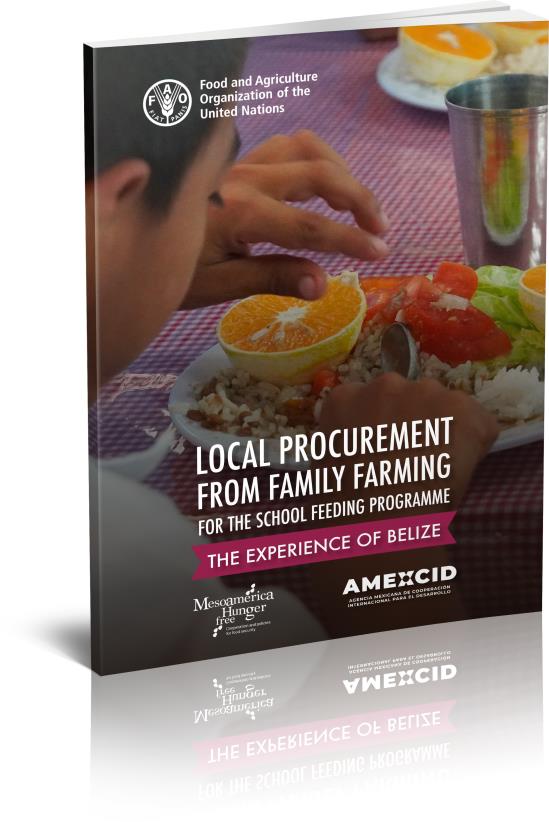 Local procurement from family farming
