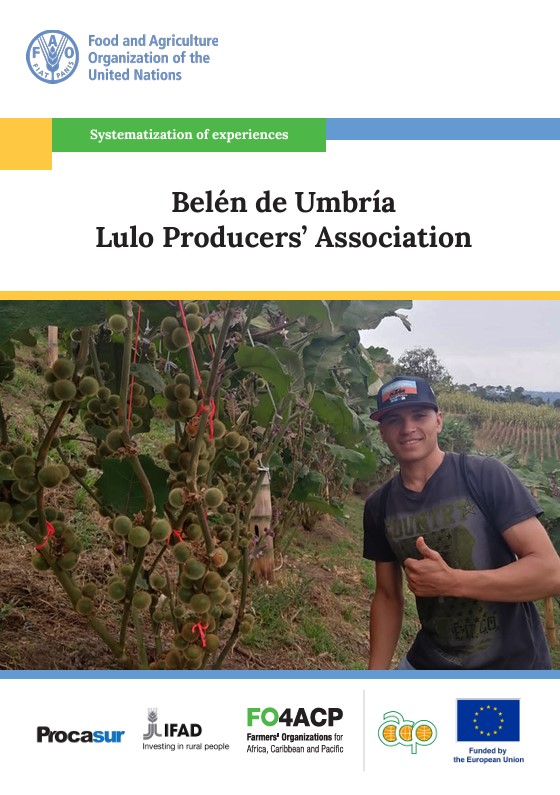 lulo producers