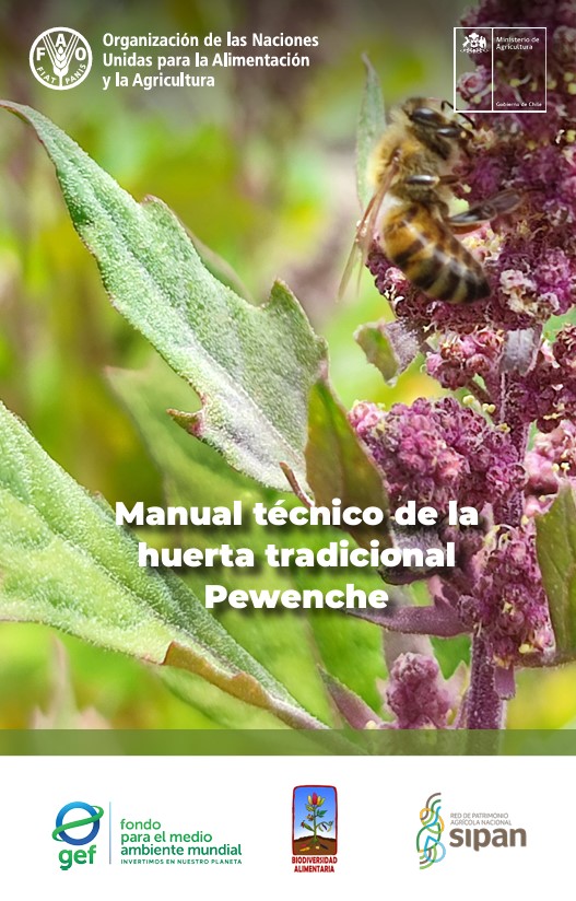 manual técnico