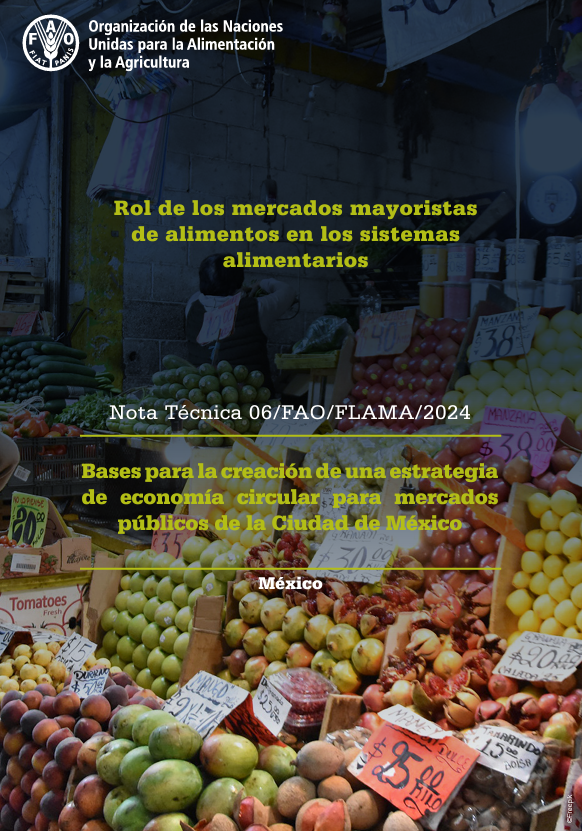 mexico flama