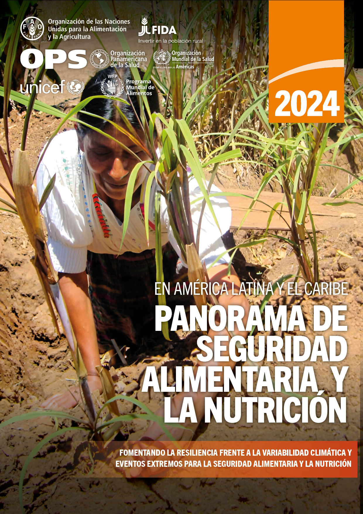 portadas PANORAMA 2024