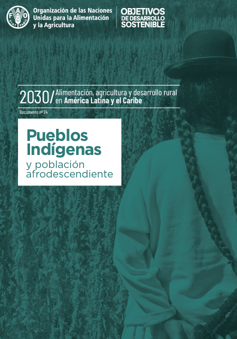 Pueblos Indígenas y población afrodescendiente