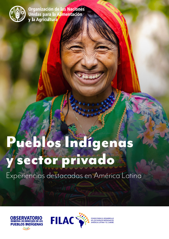 pueblos indígenas