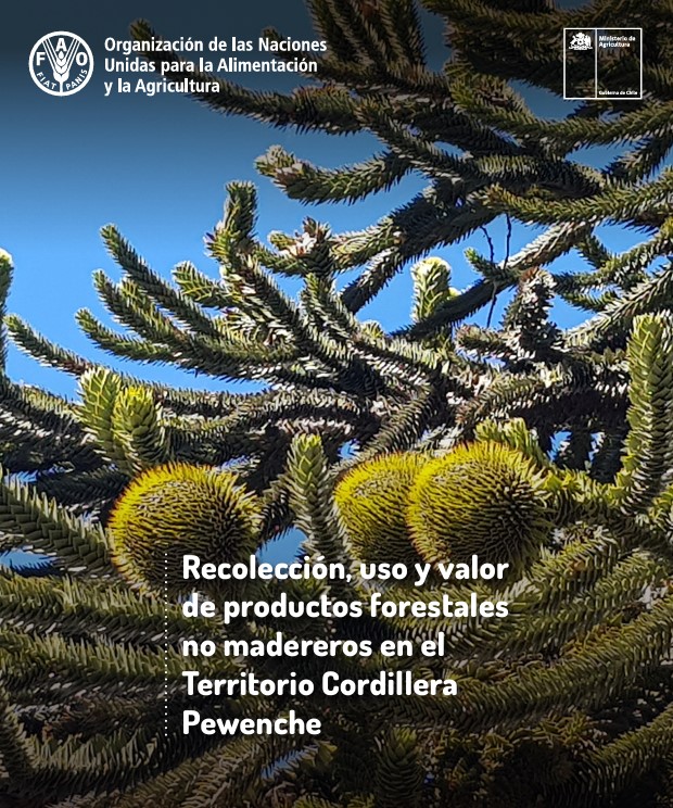 recolección uso y valor