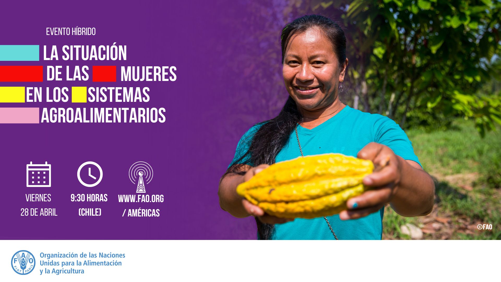 Webinar “Situación de la mujer en los sistemas agroalimentarios”