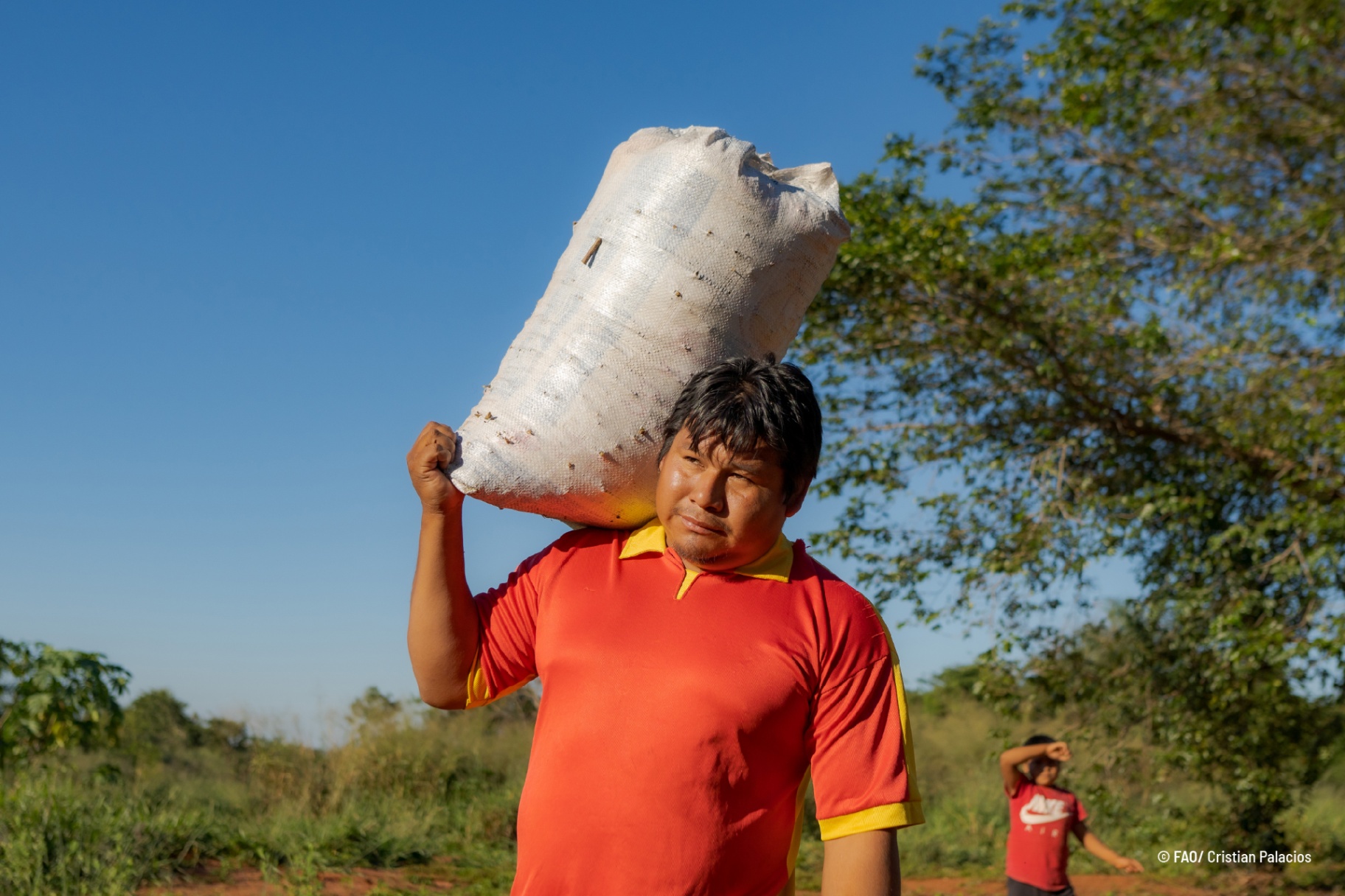 Planta sagrada ayuda a forjar un futuro amigable con el clima en Paraguay