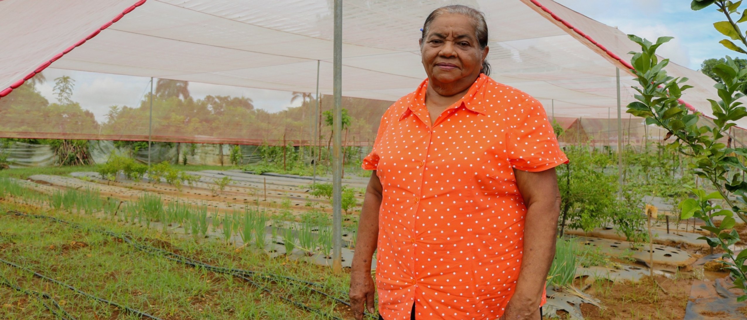La agricultura familiar llega a la alta gastronomía de República Dominicana de la mano de las mujeres rurales