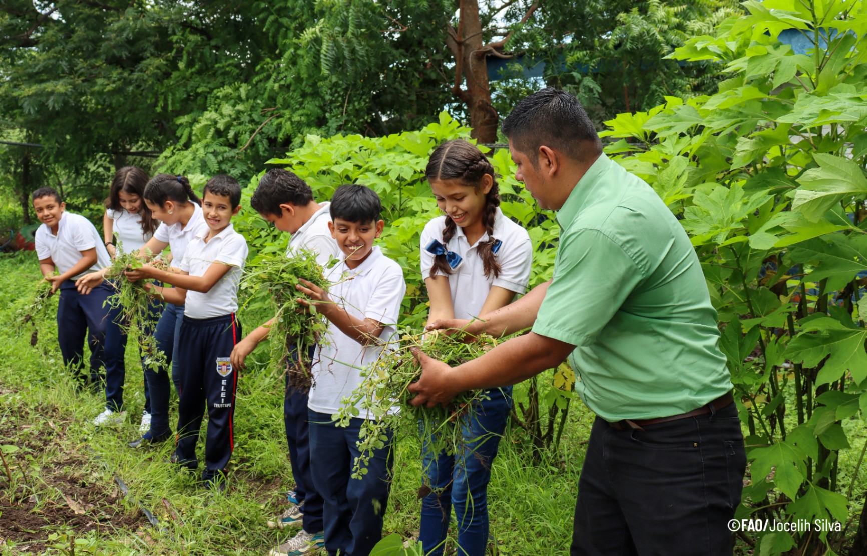 Bringing the right to food closer to communities in Latin America and the Caribbean
