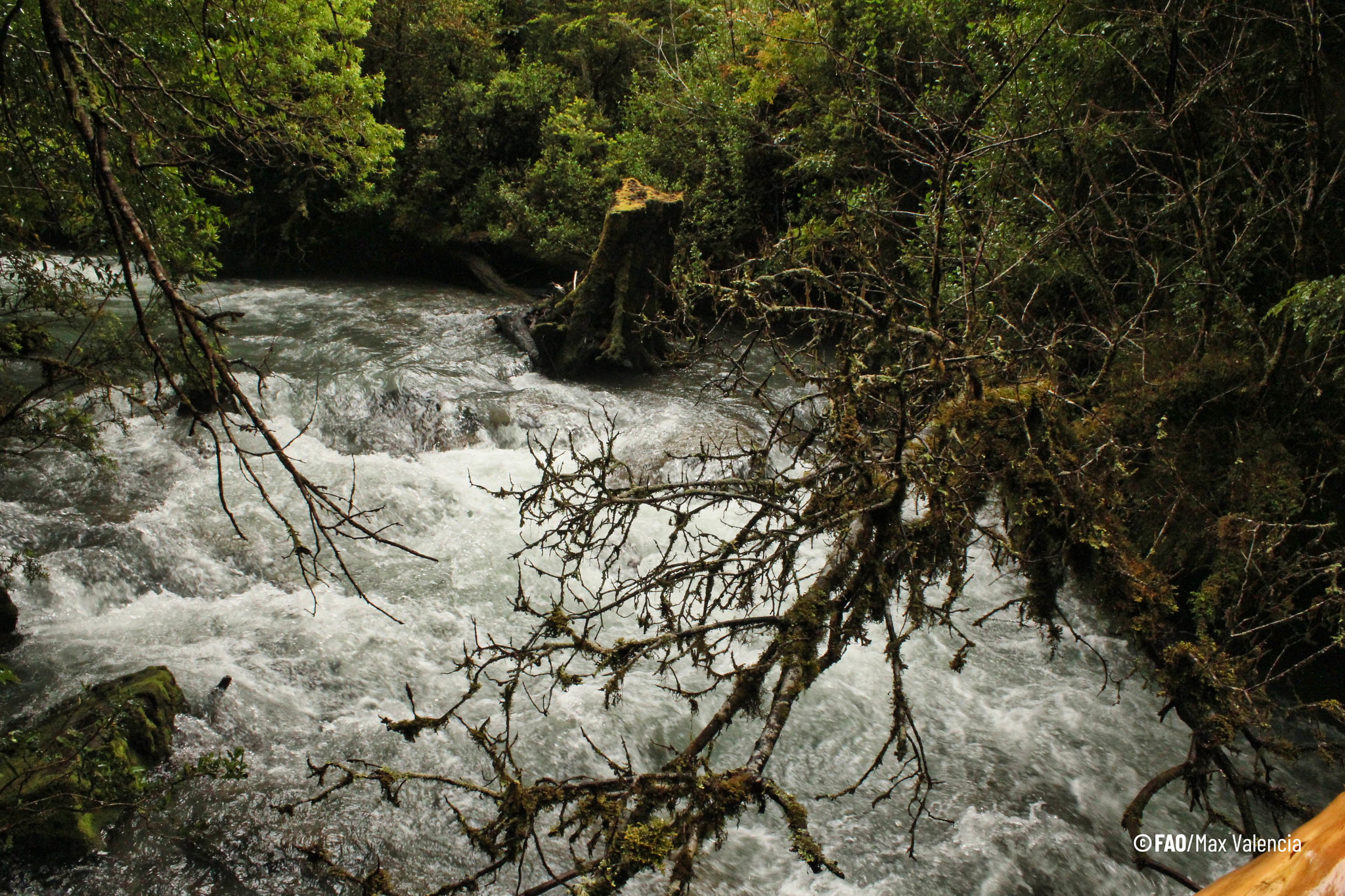 El uso del agua