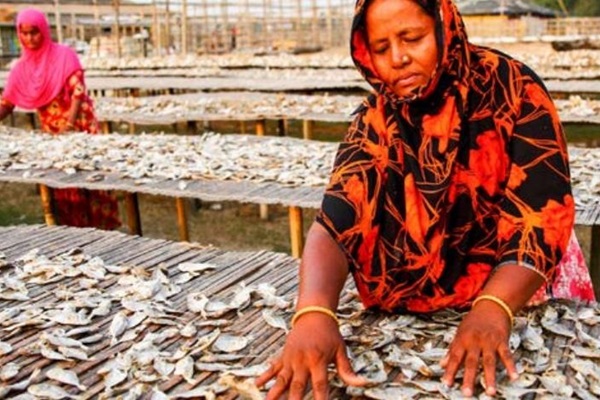 Bangladesh picture - news