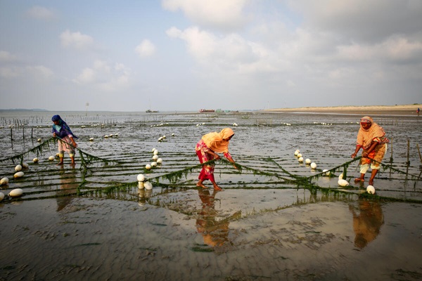 Bangladesh