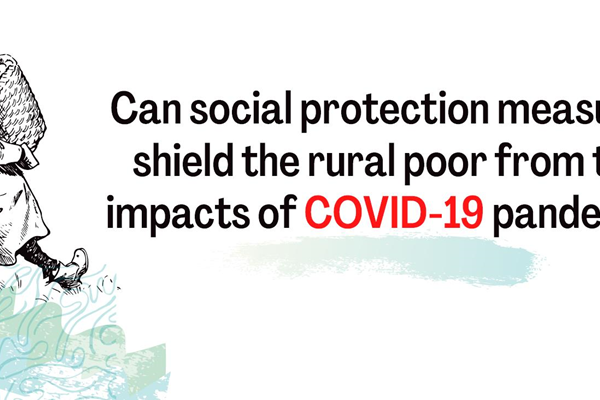 covid----website2