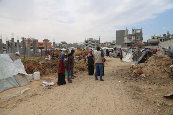 Gaza strip