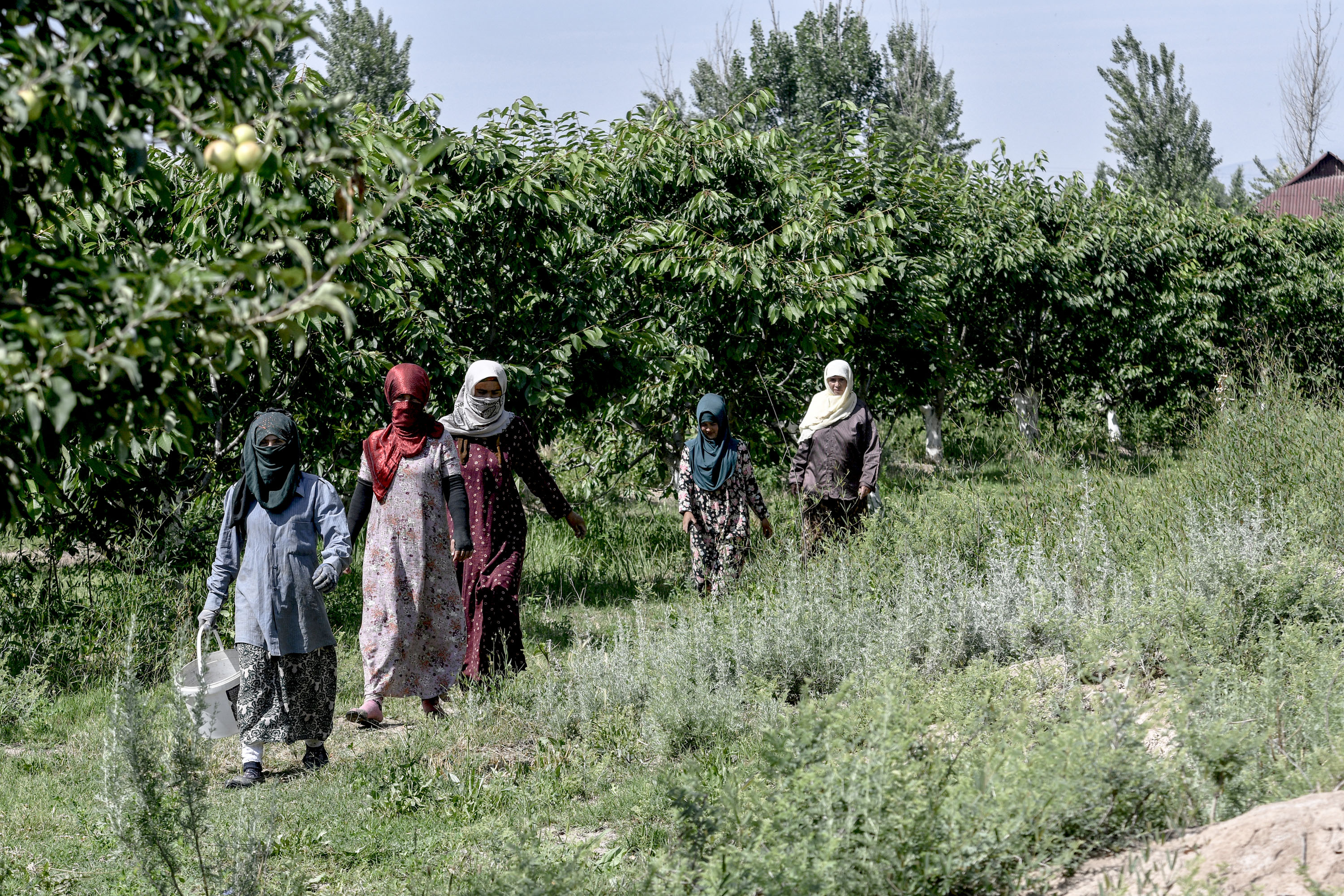 Accélérateur mondial pour l’emploi et la protection sociale pour des transitions justes : investir dans l’alimentation et l’agriculture pour atteindre les ODD