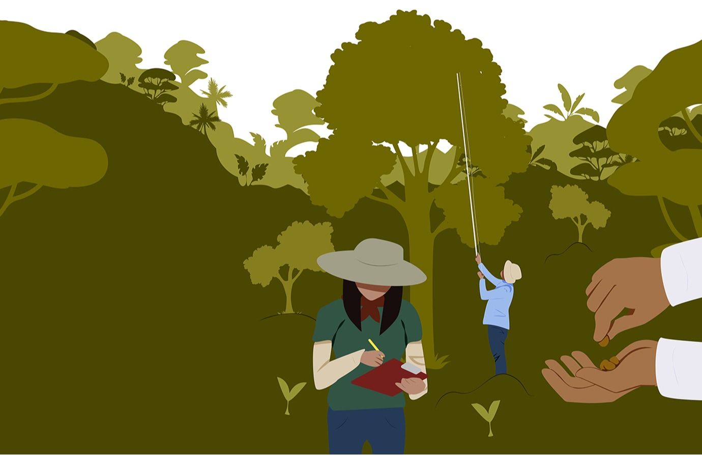 Forest and landscape restoration illustration