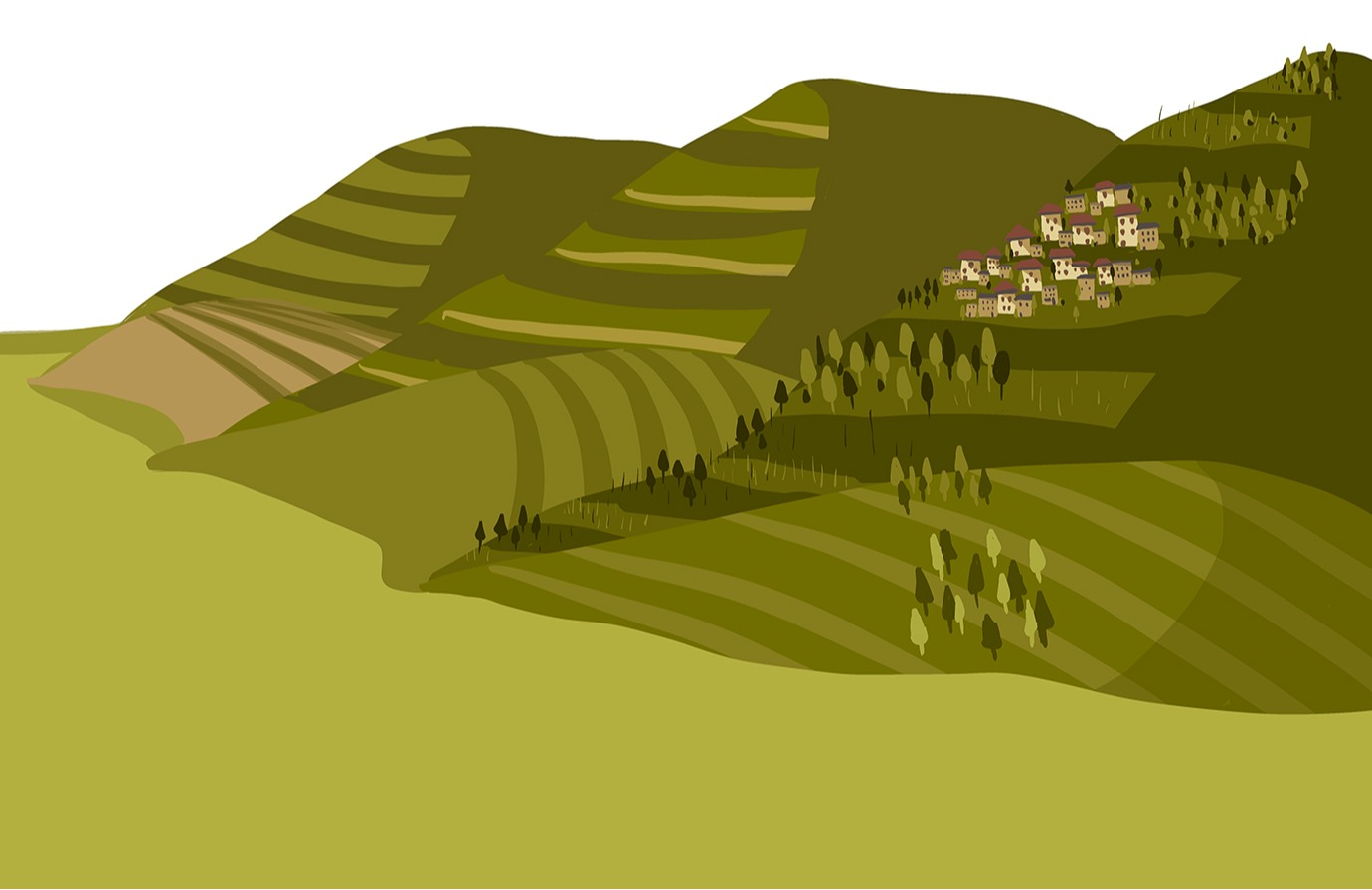 Forests and Landscapes